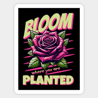 Bloom Where You Are Planted Inspirational Rose Graphic Magnet